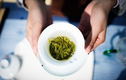 春茶,詩句,優(yōu)美