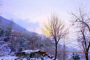 描寫冬天雪景的詩(shī)句古詩(shī),小學(xué)描寫冬天的詩(shī)句古詩(shī),描寫冬天的詩(shī)句古詩(shī)名句