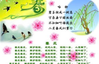 經(jīng)典古詩句改廣告