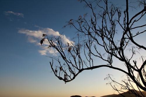 關(guān)于ai的韻腳詩(shī)句