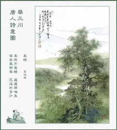 春曉的古詩句,春曉古詩全解,春曉古詩配圖