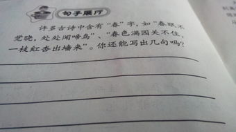 古詩(shī)句中崳字的