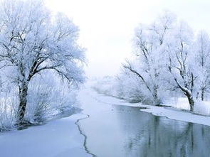 詩(shī)句,課本,小學(xué)生,于雪