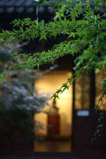 含有水和雨的古詩(shī)句