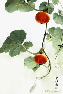 古詩(shī),詩(shī)句,抒情