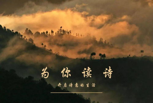 詩(shī)句,美麗,時(shí)間