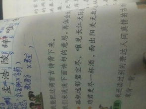 關(guān)于愛情的古詩句翻譯