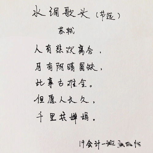 古詩中有美字的詩句