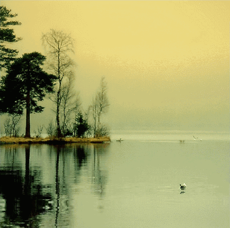 交友yiuguan古詩句