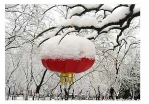 關(guān)于掛燈籠的詩(shī)句