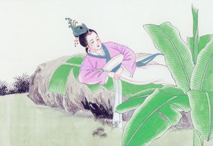 關(guān)于手足殘殺的古詩句