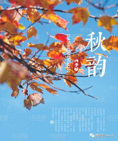 關(guān)于描寫秋天的古詩句,描寫秋天的優(yōu)美古詩句,關(guān)于描寫秋天的古詩句有哪些