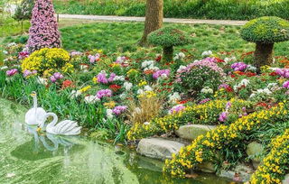 秋葉秋花的詩(shī)句古詩(shī)