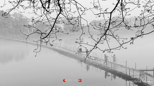 關于桂林的詩句古詩