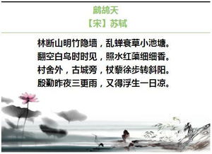 描寫夏天的詩(shī)句古詩(shī)三