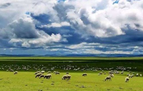 一句古詩中描寫景色的詩句是什么意思