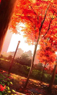 關(guān)于秋日悲傷的詩句