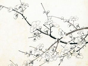 關(guān)于什么花的詩句古詩