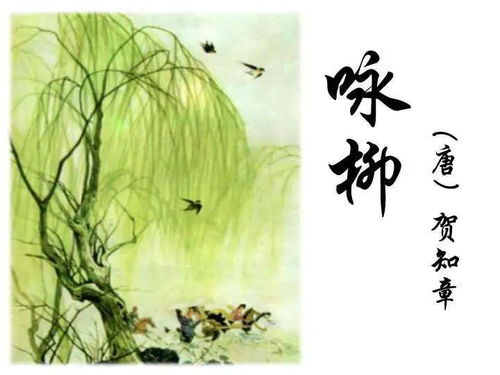 古詩詞中有花的詩句,古詩詞寫花的詩句,古詩詞中含有花的詩句