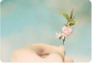 關(guān)于春天的氣溫的詩句