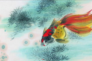 關(guān)于金魚唯美的詩句