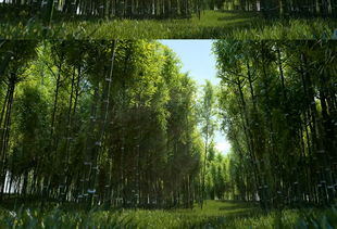 關(guān)于鄉(xiāng)間田園竹子詩句