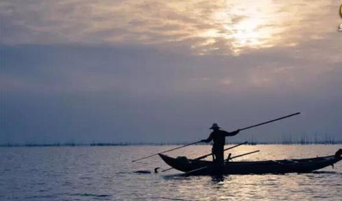 欲濟(jì)無舟楫是關(guān)于愛國的詩句嗎