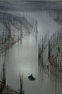 關于貧賤富貴的詩句