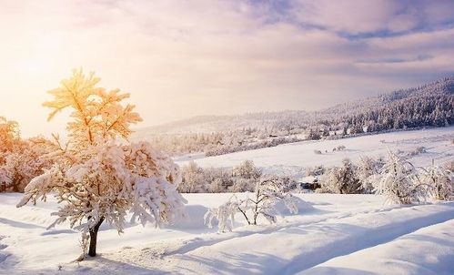 關(guān)于雪的詩句古詩詞初一