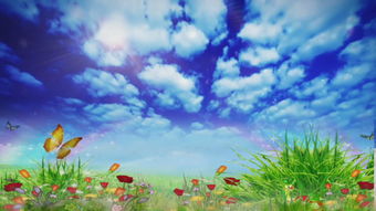 關(guān)于春天藍(lán)天白云的詩句有哪些