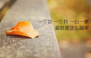 關(guān)于贊美大海的現(xiàn)代詩句
