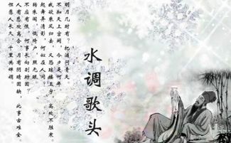 借月抒情的古詩句,借物抒情的古詩句,關(guān)于議論抒情的古詩句