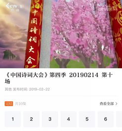 關于愛奇藝詩句