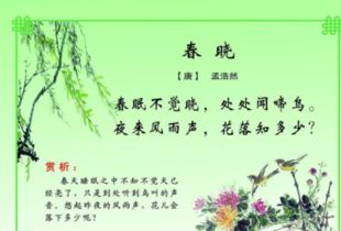 20句關(guān)于春天的古詩(shī)句,關(guān)于春天的古詩(shī)句,關(guān)于描寫(xiě)春天的古詩(shī)句