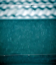 關(guān)于春雨的詩句風(fēng)