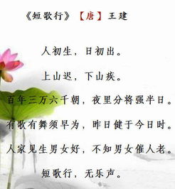 關(guān)于孝心感恩的詩句