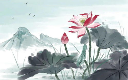 關(guān)于蝶戀花詩(shī)句