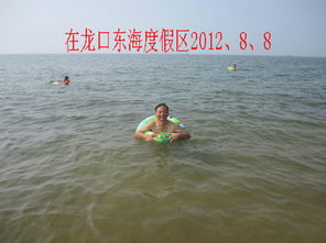 詩句,贊美,大海