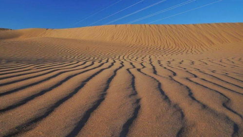 有哪些關(guān)于植物頑強(qiáng)生長(zhǎng)的詩(shī)句呢想一想寫(xiě)下來(lái),有哪些關(guān)于植物頑強(qiáng)生長(zhǎng)的詩(shī)句呢,有哪些關(guān)于植物頑強(qiáng)生長(zhǎng)的詩(shī)句三年級(jí)