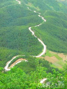 關(guān)于描寫小路的詩句