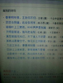 關(guān)于送別和思鄉(xiāng)的詩句