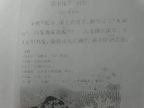 寫風(fēng)的詩句古詩五級