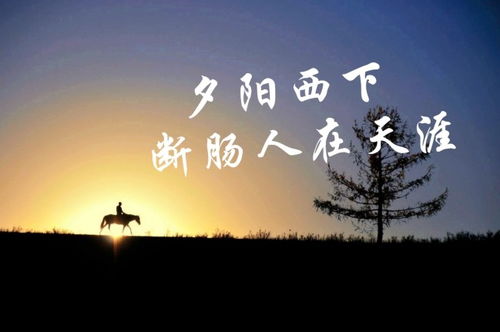 詩句,描寫,孤獨(dú),旅行