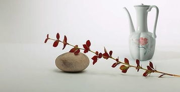 關(guān)于長白酒的詩句