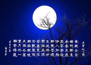 關(guān)于月寄托思念的詩(shī)句