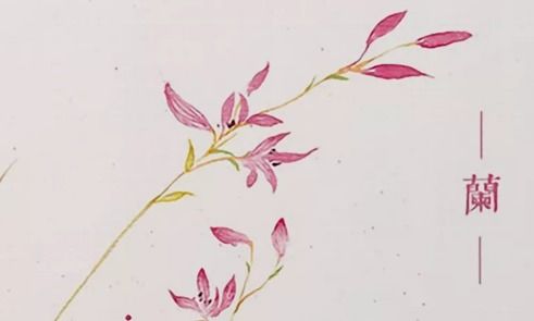 有哪些描寫花的古詩句