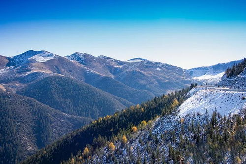 關于雅江的詩句