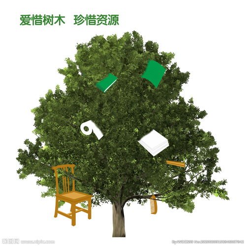 關(guān)于珍惜樹(shù)木的詩(shī)句