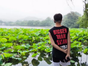 關(guān)于杭州西湖美景的古詩句