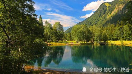 關(guān)于有付出才有回報(bào)的古詩句